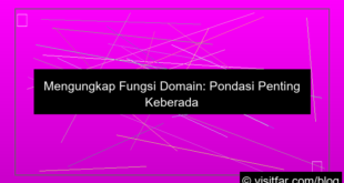 gambar fungsi domain pada website