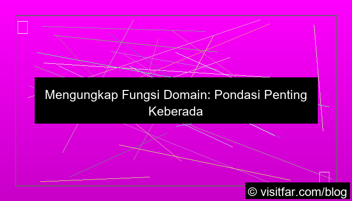 gambar fungsi domain pada website
