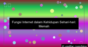 fungsi internet dalam kehidupan sehari hari