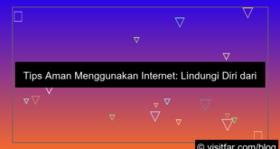 visual tips aman menggunakan internet