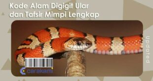 togel mimpi angka ular nomor bergambar erek tali mandi prediksi nujum ahli kamar primbon lebah tafsir sarang jika ramalan jitu